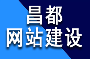 选择专业的昌都网站建设公司售后无忧